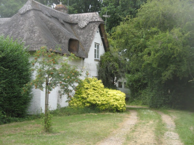 Thatched cottage beside a rural track
