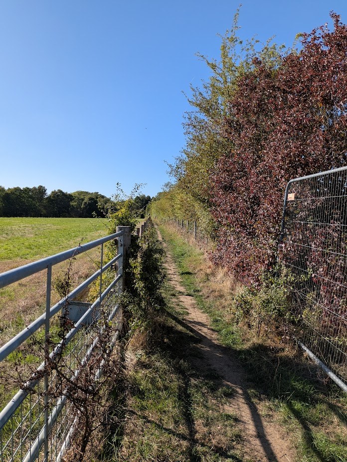 Footpath between a field and autumn hedgerow
