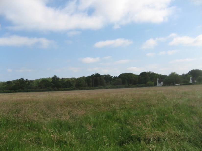 Open field with distant tree line and cottages