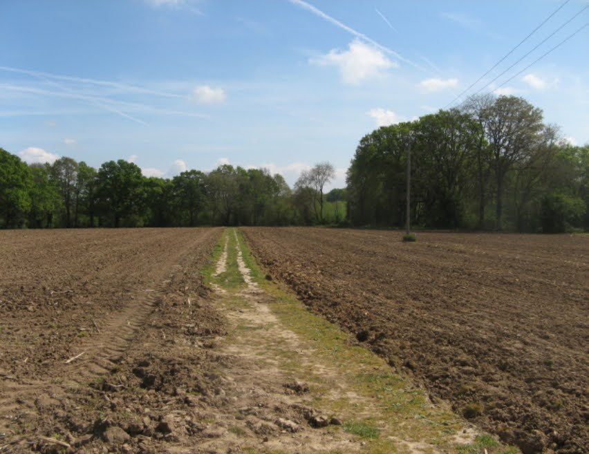 Narrow track across a ploughed field